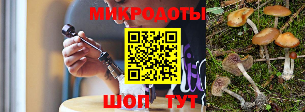 Бошки Шишки Елец