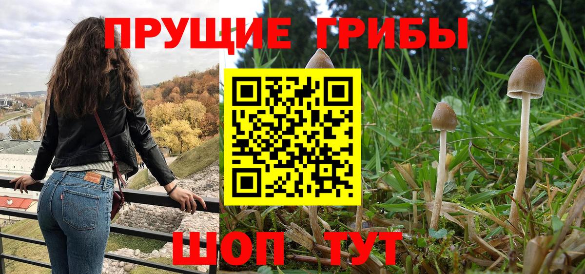 Псилоцибиновые грибы Cubensis  Вход с VPN  Елец 